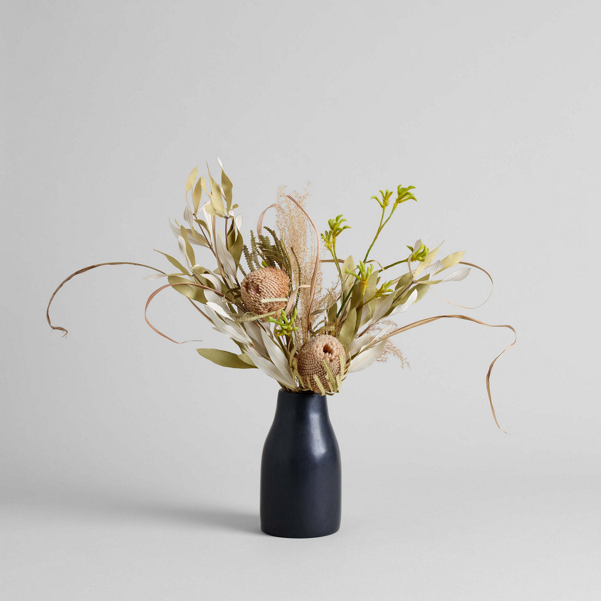 Bloomist Set of Three Dried Natural Banksia | Heirloom Boulevard