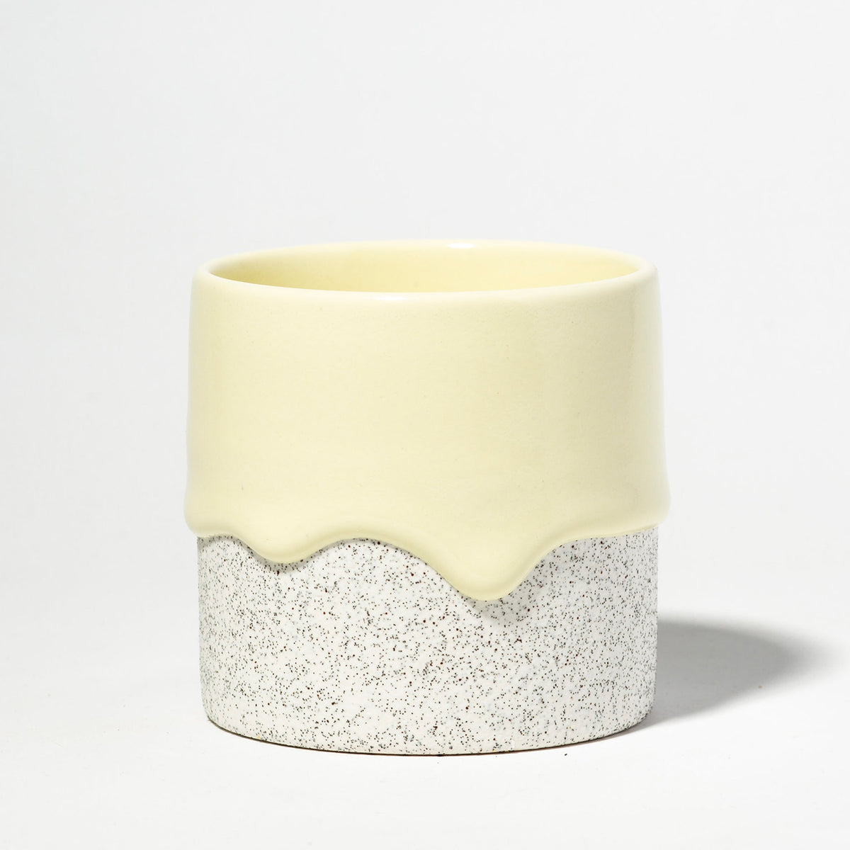 Squat Cylinder Buttercup (seasonal) | Heirloom Boulevard