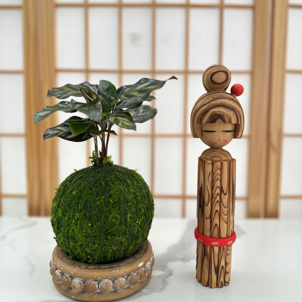 Kazumi Garden Calathea Makoyana | Moss Ball Kokedama Small | Heirloom Boulevard