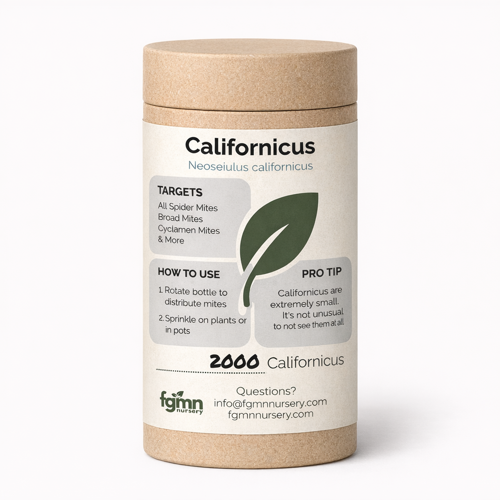 FGMN Nursery Neoseiulus californicus 3X-Large — Up to 500 Six-Inch Plants — 25,000 Mites | Heirloom Boulevard