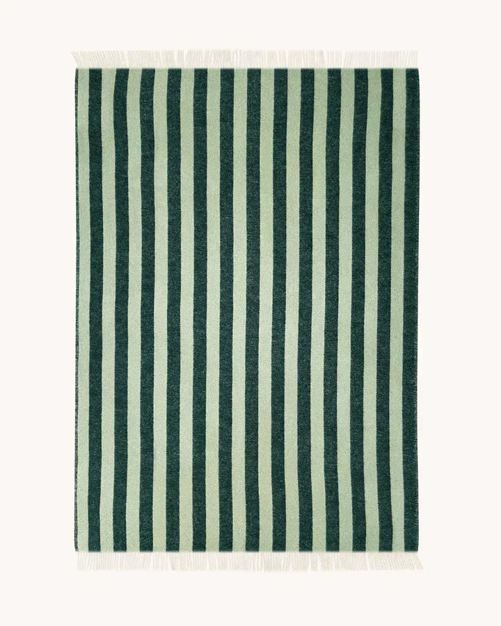 Blanket CANDY WRAP Green / Sage 4.25 x 6.5 ft