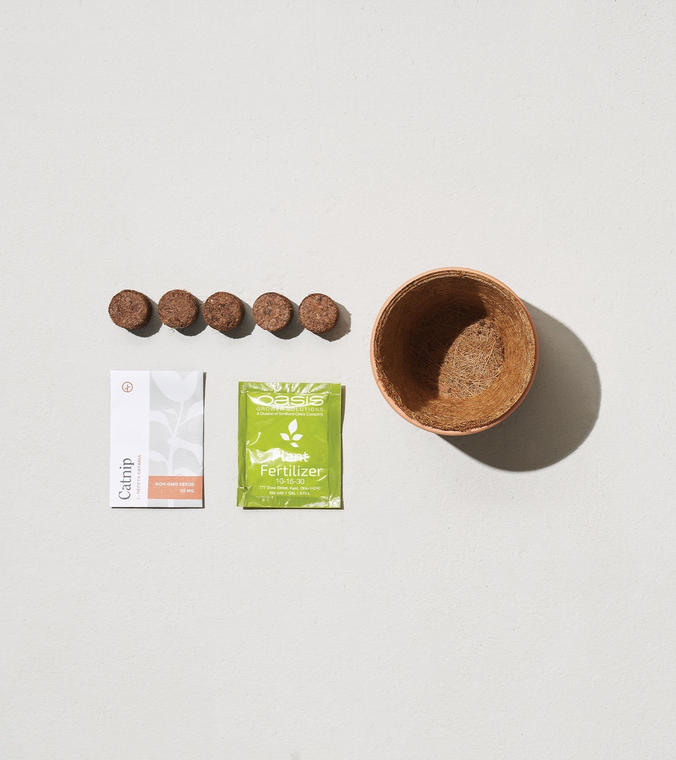 Modern Sprout Tiny Terracotta Holiday Kits