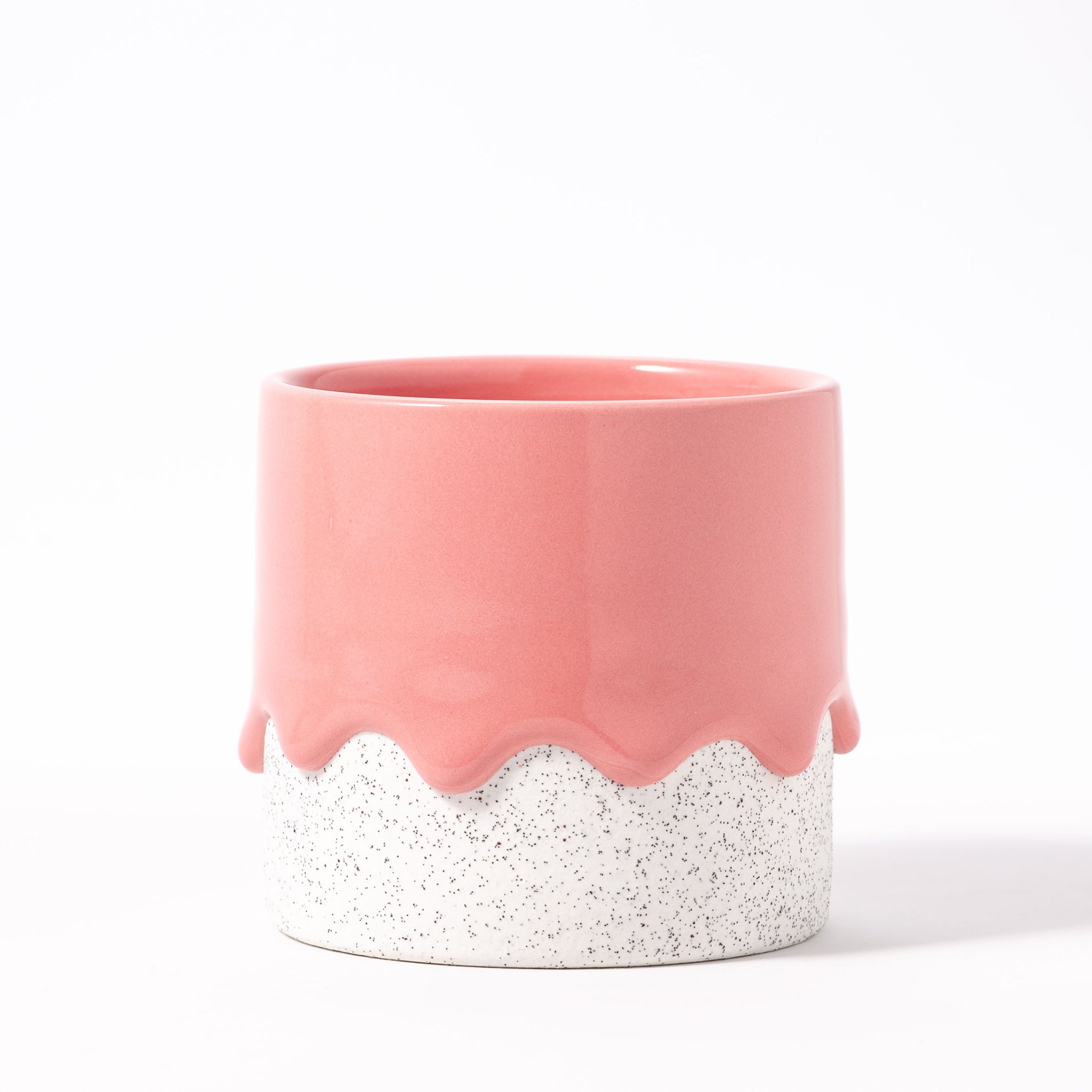 Squat Cylinder Coral (seasonal) | Heirloom Boulevard