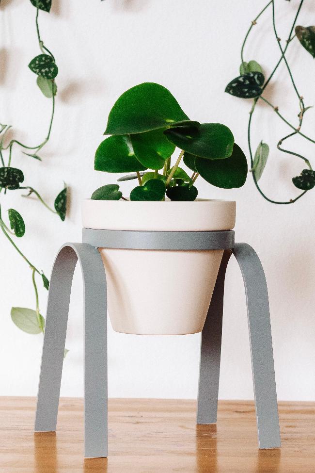 Perch Metal Plant Stand Carter + Rose | Heirloom Boulevard
