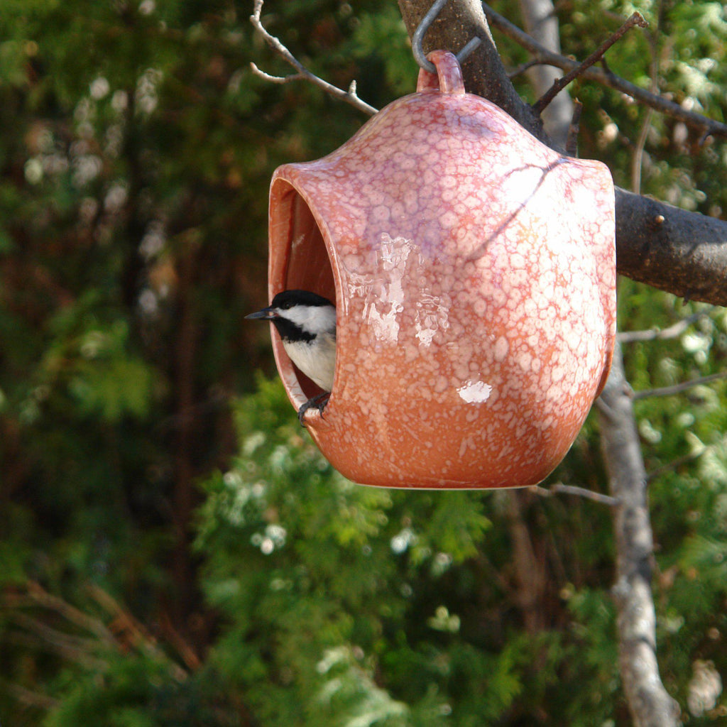 Byer of Maine Egg Fly-Through Feeder