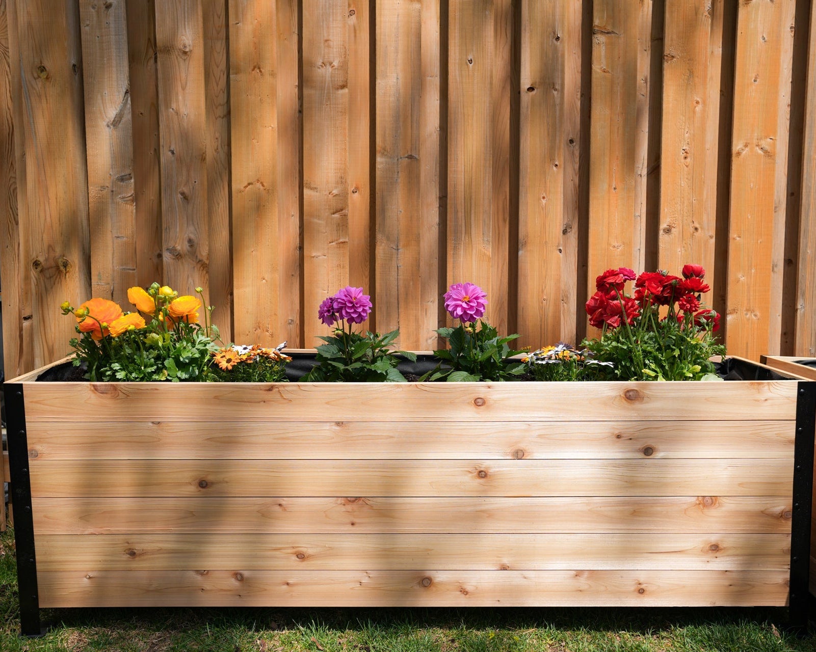 Cedar Planters 18" x 72" Planter Box - 24" TALL | Heirloom Boulevard