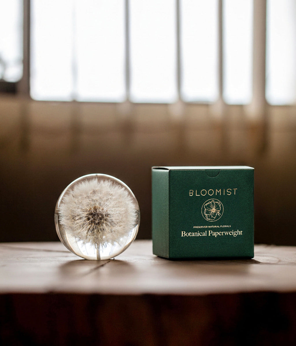 Bloomist Dandelion Botanical Resin Paperweight | Heirloom Boulevard