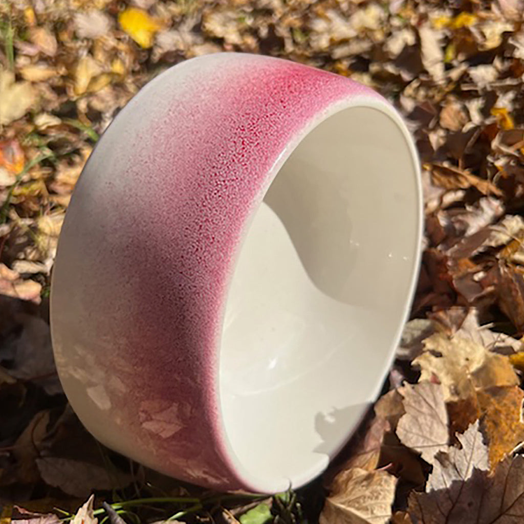 Byer of Maine  Pet Bowl - Roll Over Red