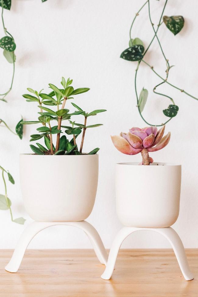 Carter + Rose High Rise Plant Pots Carter + Rose | Heirloom Boulevard