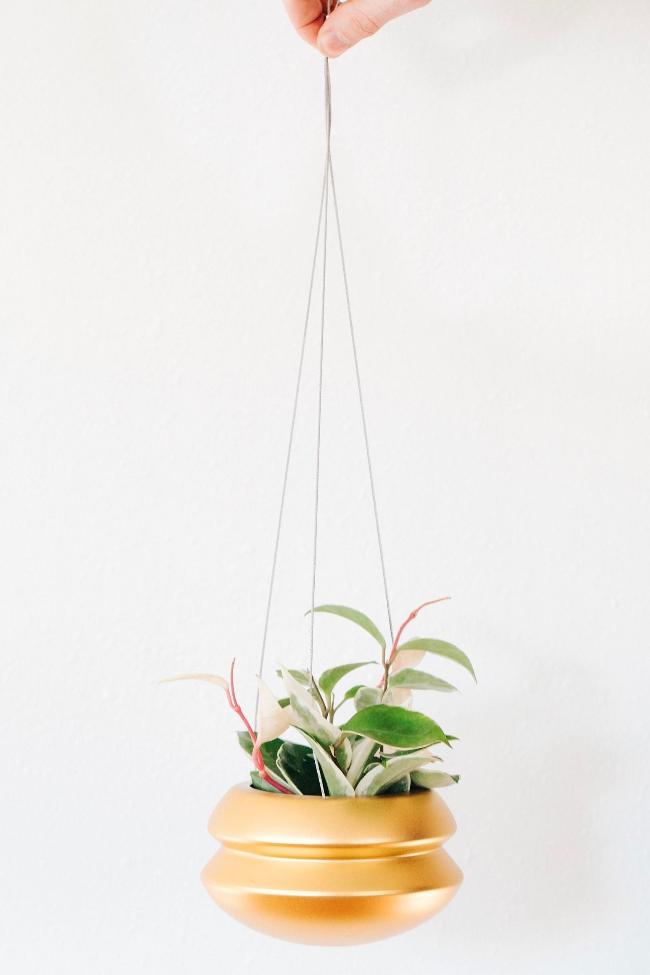 Carter + Rose Halo Hanging Planter Carter + Rose | Heirloom Boulevard