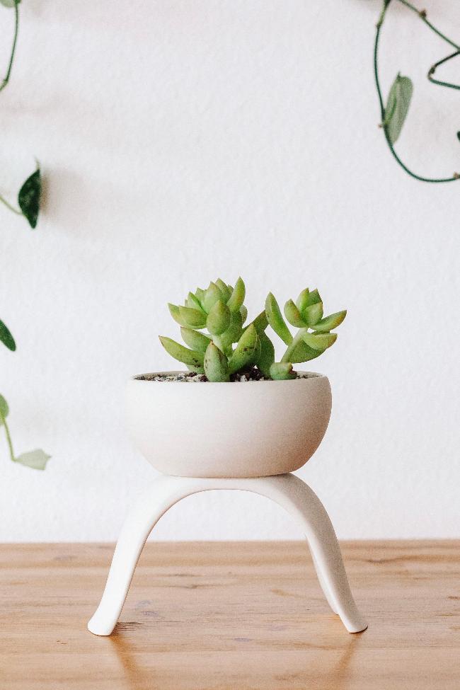 Carter + Rose High Rise Plant Pots Carter + Rose | Heirloom Boulevard