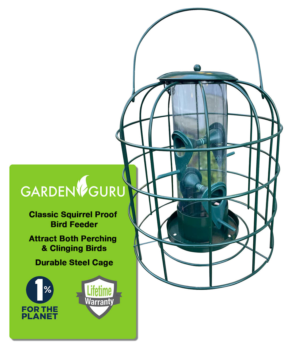 Garden Guru Squirrel Resistant Tube Bird Feeder | Heirloom Boulevard