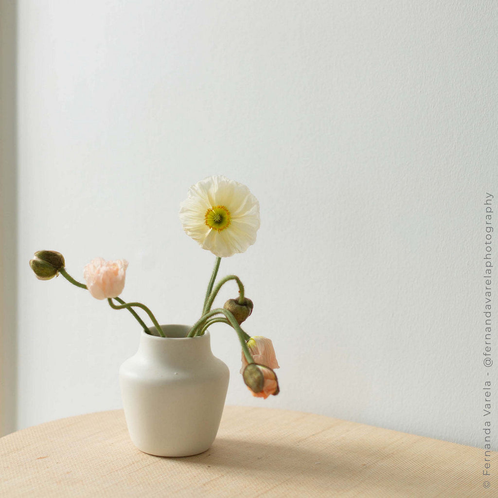 Bloomist Ikebana Vase | Heirloom Boulevard
