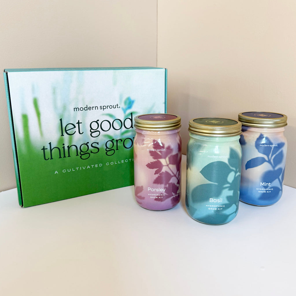 Modern Sprout Garden Jars - Organic Herbs | Heirloom Boulevard