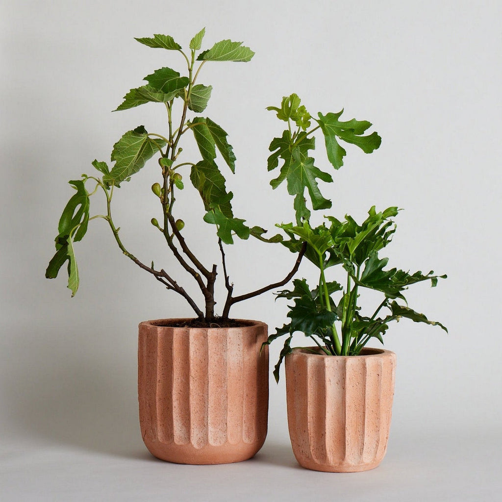 Bloomist Fluted Planter | Heirloom Boulevard