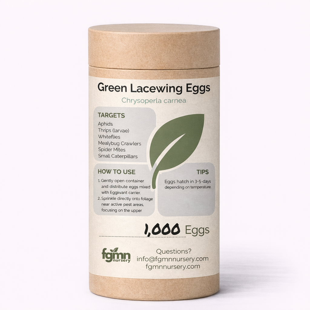 FGMN Nursery Green Lacewing Eggs | Heirloom Boulevard