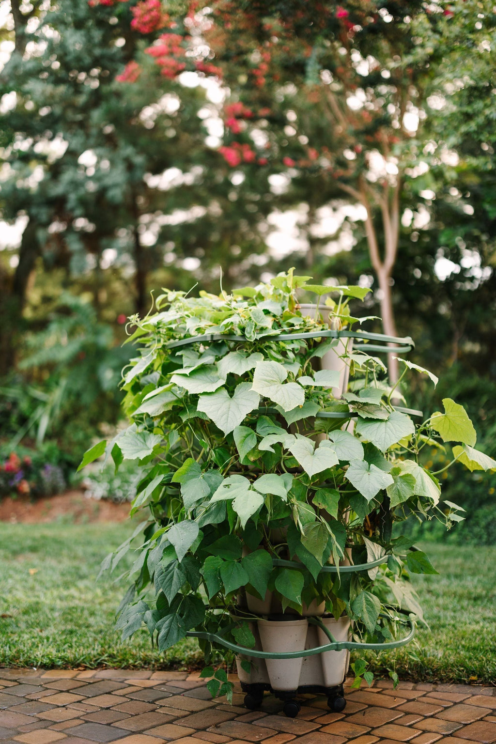 GreenStalk Garden Mover | Heirloom Boulevard
