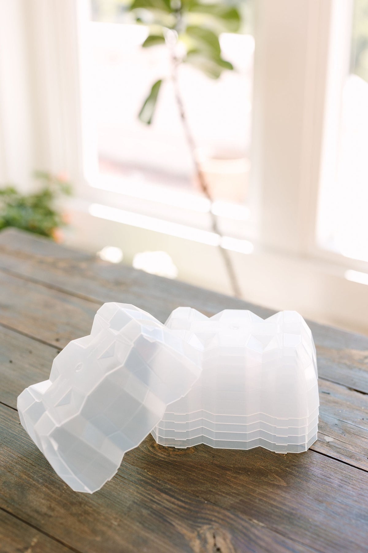 GreenStalk Garden Seed Starter Kit with Domes