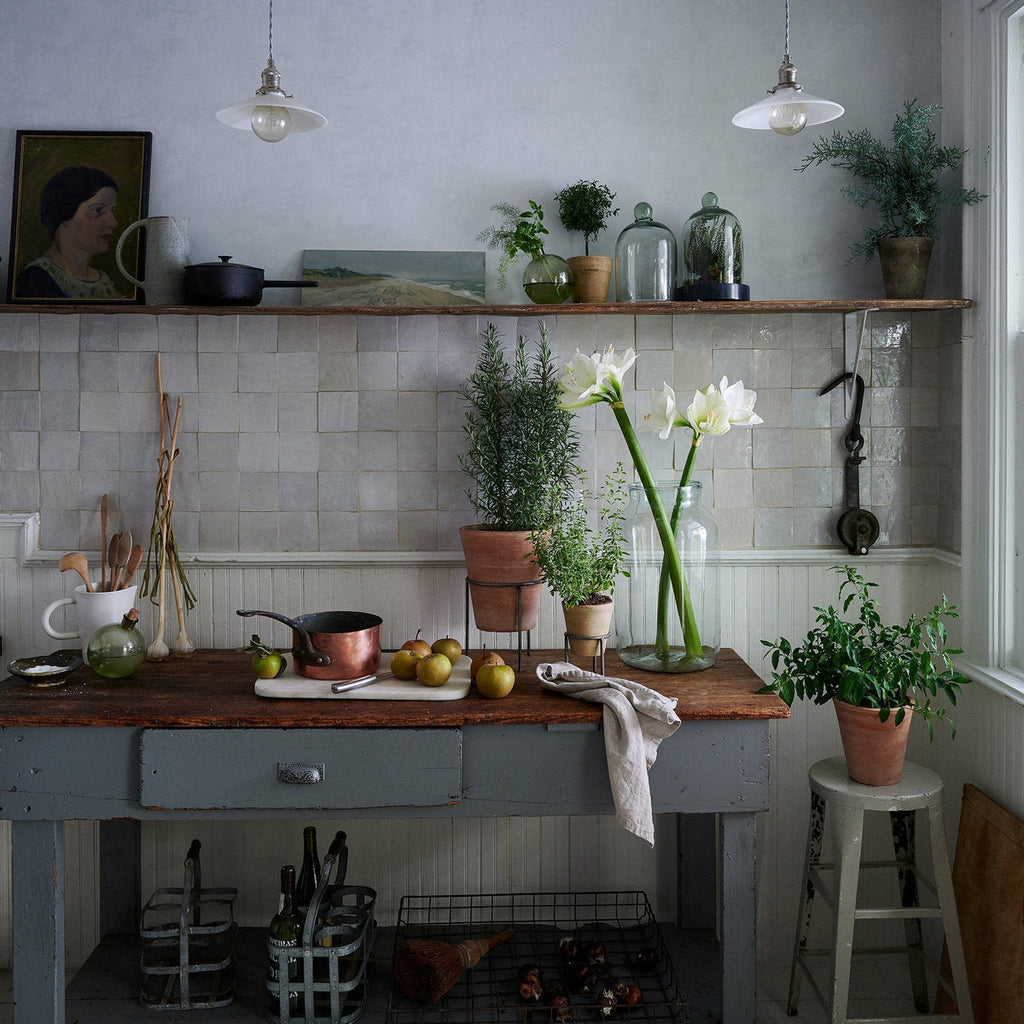 Bloomist Whitewash Terracotta Studio Planter | Heirloom Boulevard