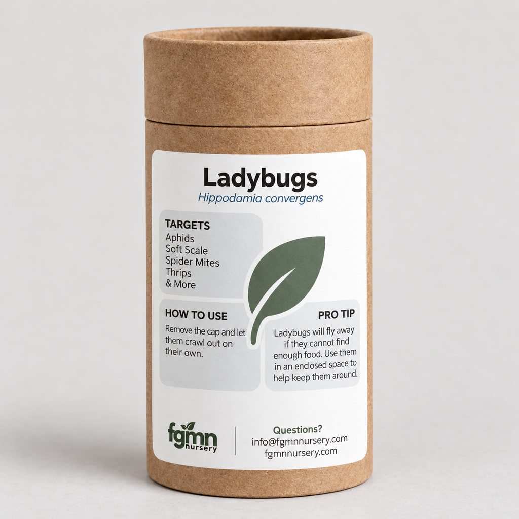 FGMN Nursery Ladybugs 5X-Large — 72k Ladybugs | Heirloom Boulevard