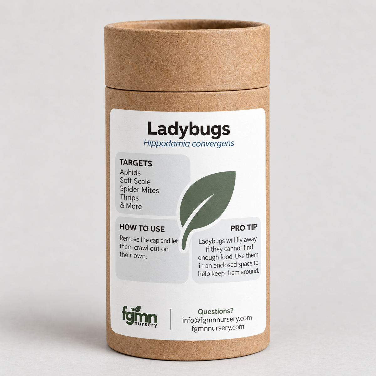FGMN Nursery Ladybugs 5X-Large — 72k Ladybugs | Heirloom Boulevard