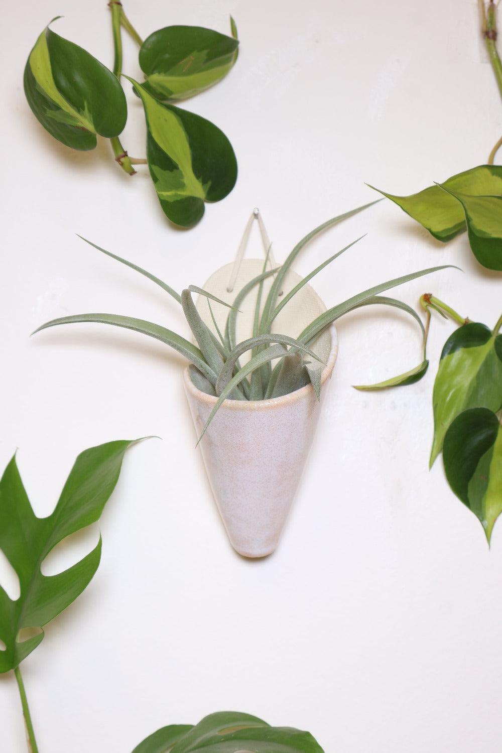 Carter + Rose Ceramic Wall Planter, Medium Cone | Heirloom Boulevard