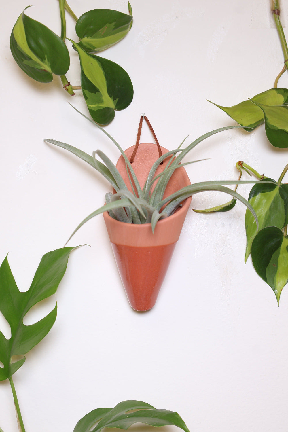 Carter + Rose Ceramic Wall Planter, Medium Cone | Heirloom Boulevard
