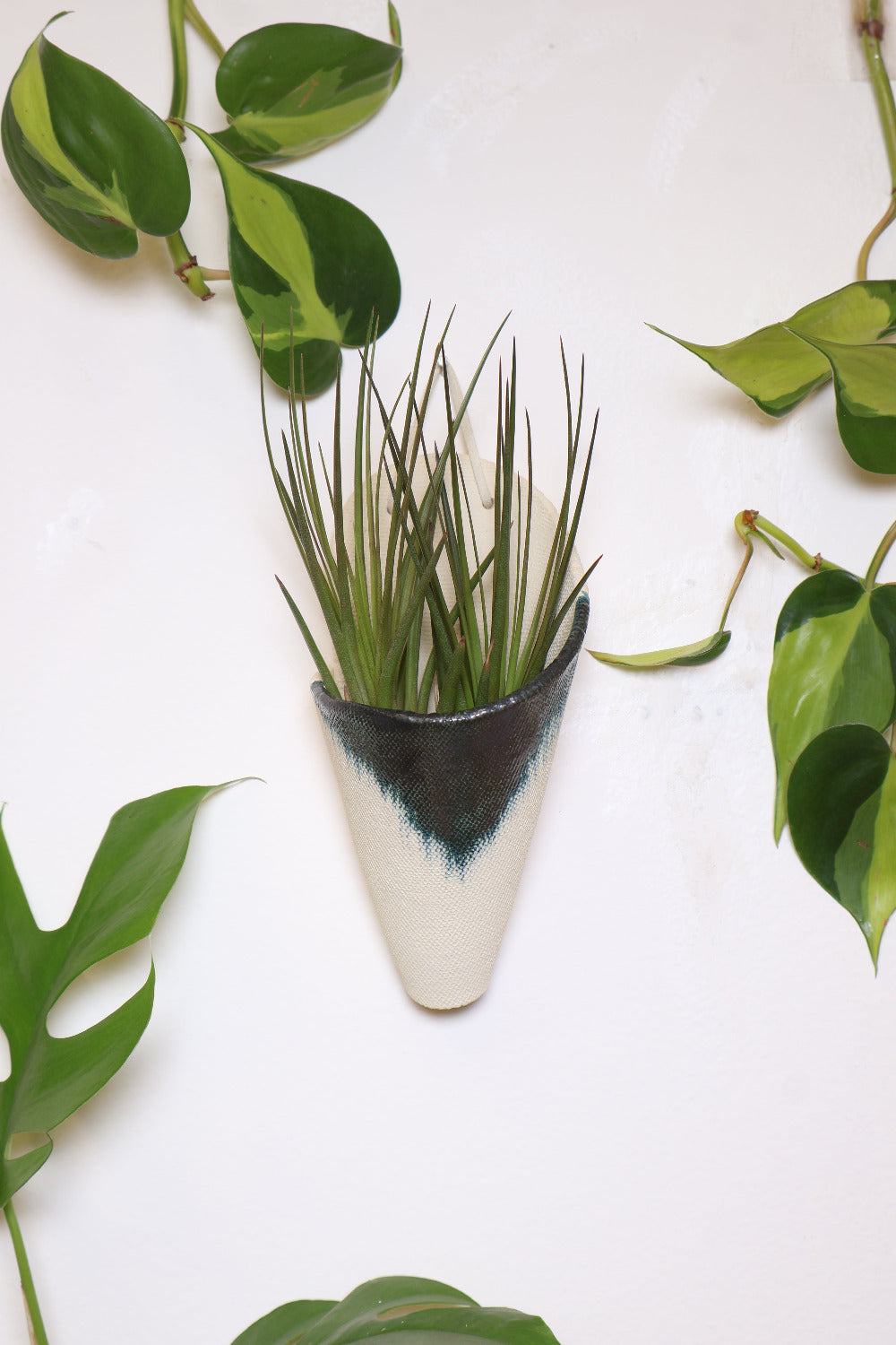 Carter + Rose Ceramic Wall Planter, Medium Cone