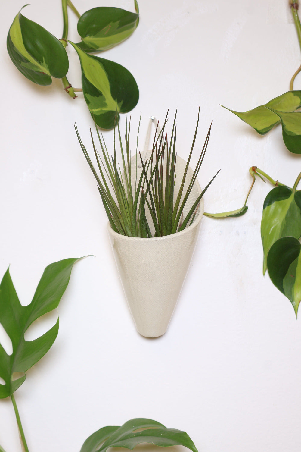 Carter + Rose Ceramic Wall Planter, Medium Cone | Heirloom Boulevard
