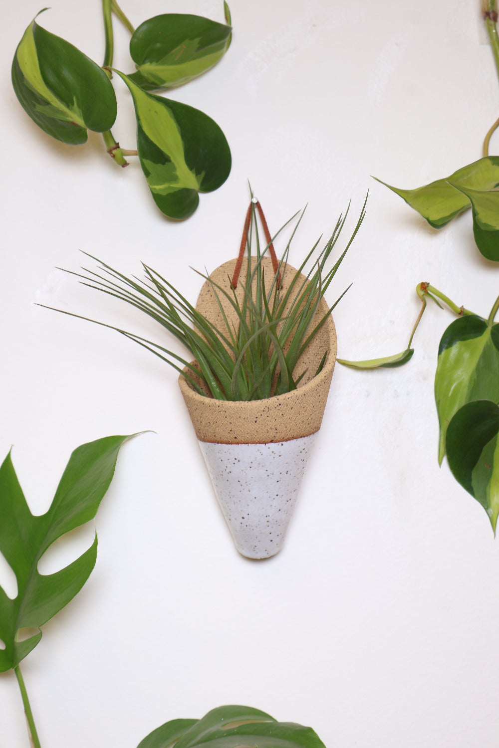 Carter + Rose Ceramic Wall Planter, Medium Cone | Heirloom Boulevard