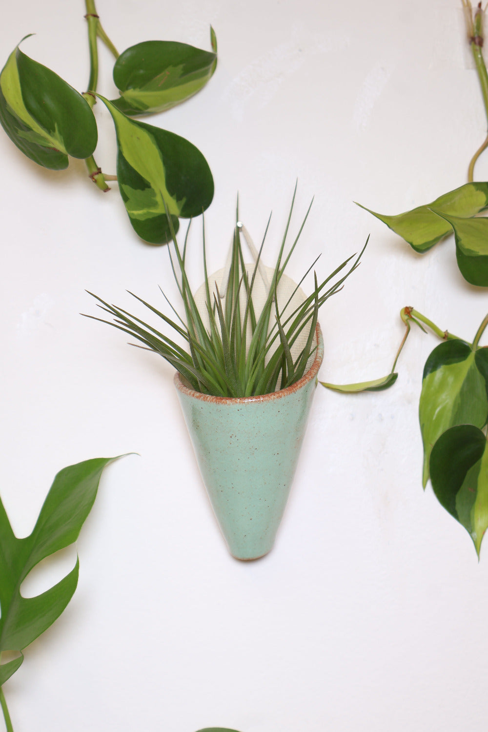 Carter + Rose Ceramic Wall Planter, Medium Cone | Heirloom Boulevard