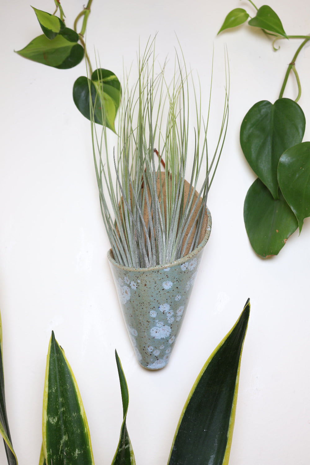 Carter + Rose Ceramic Wall Planter, Large Cone