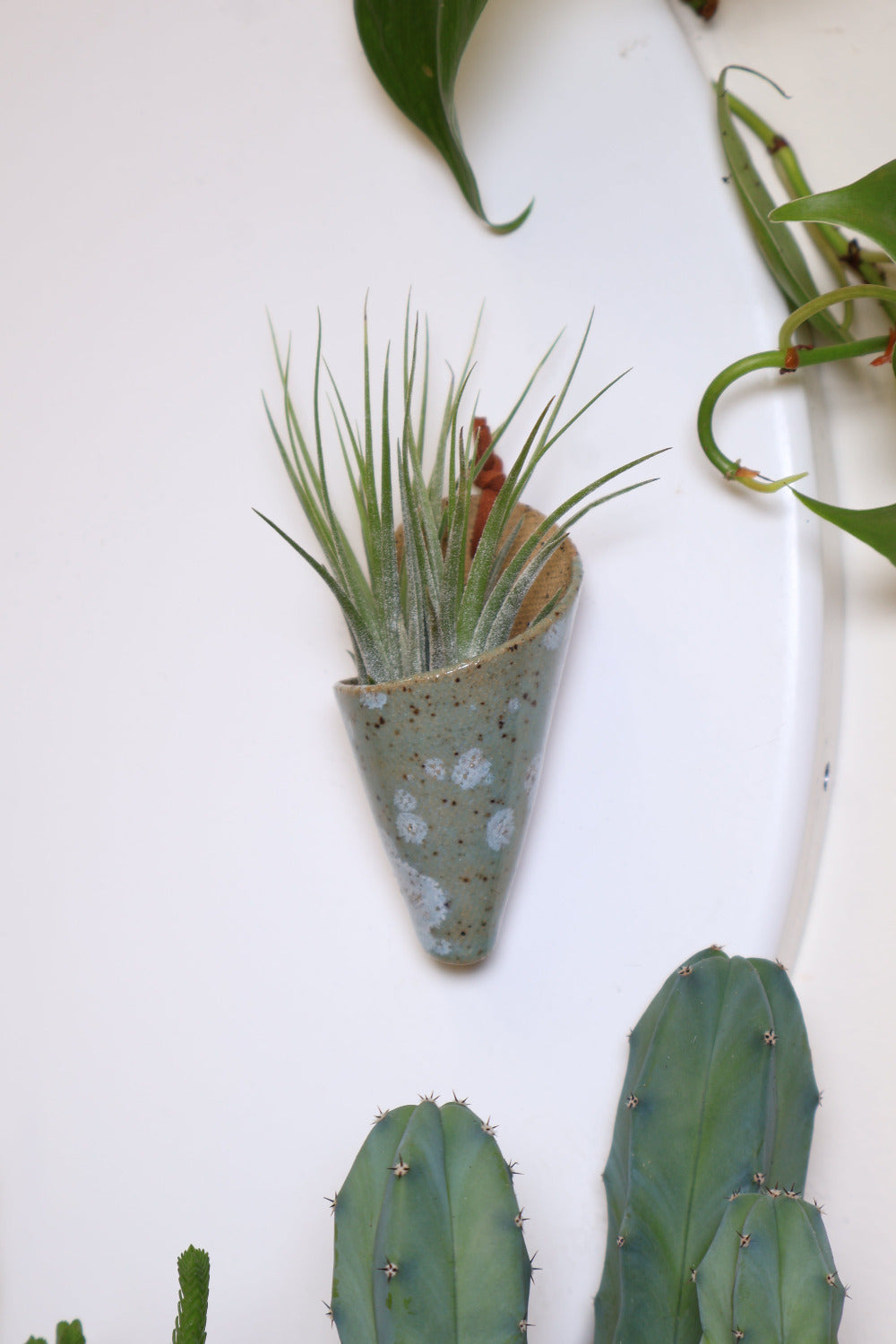 Carter + Rose Wall Planter, Magnet Collection Moss | Heirloom Boulevard