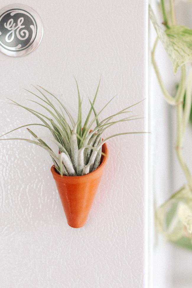 Carter + Rose Wall Planter, Magnet Collection Terracotta | Heirloom Boulevard