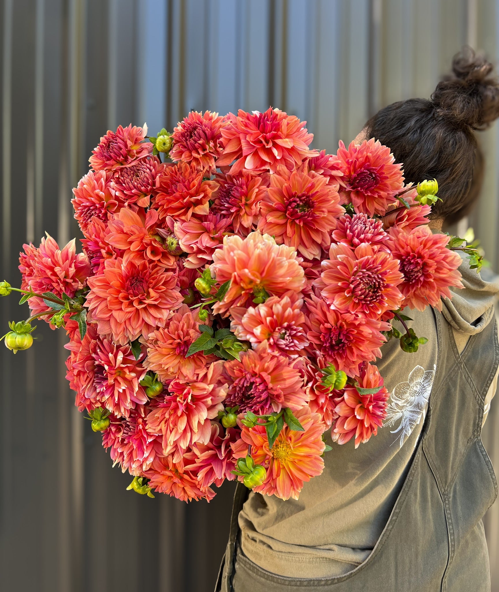 Sunny Meadows Flower Farm Dahlia Tuber Connecticut Coral | Heirloom Boulevard