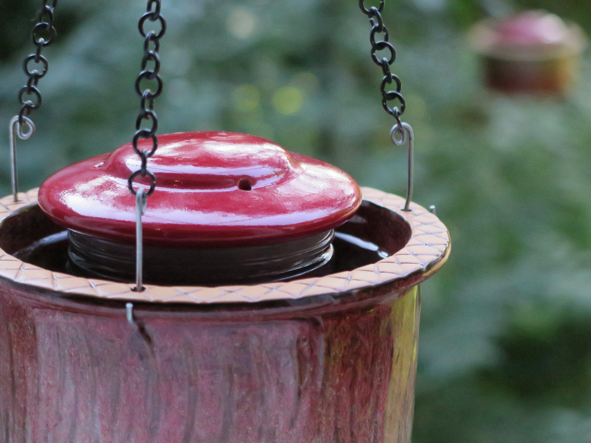 Byer of Maine Alcyon Hummingbird Feeder