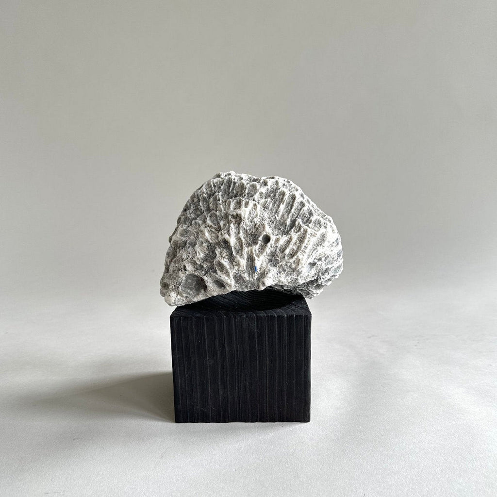 Jikoku Wood Base charcoal | Heirloom Boulevard