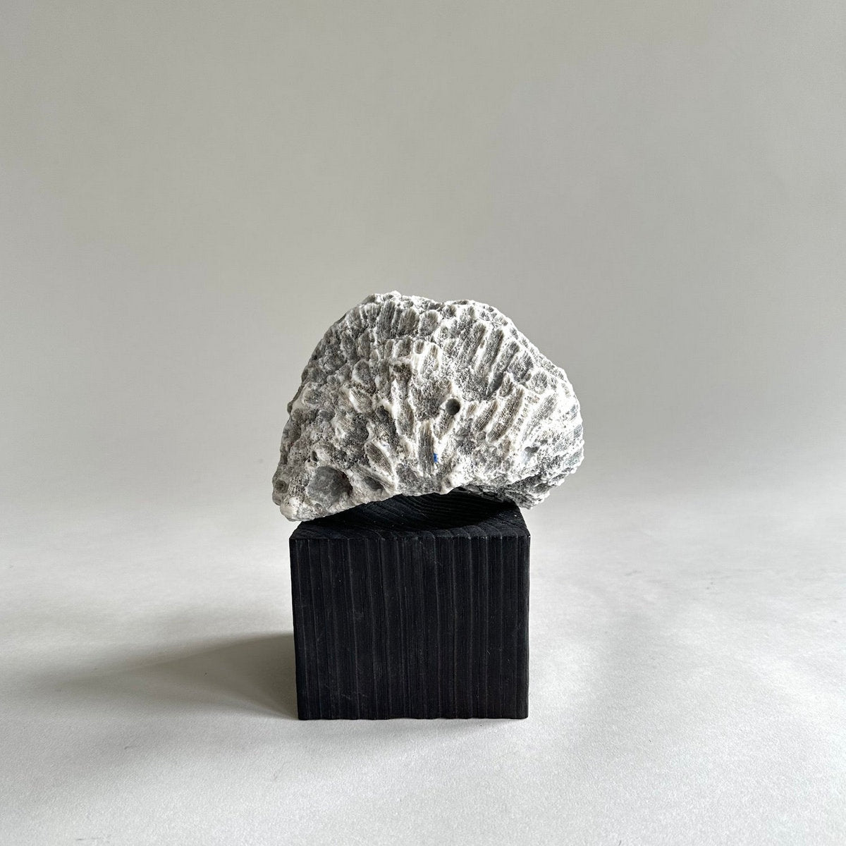 Jikoku Wood Base charcoal | Heirloom Boulevard