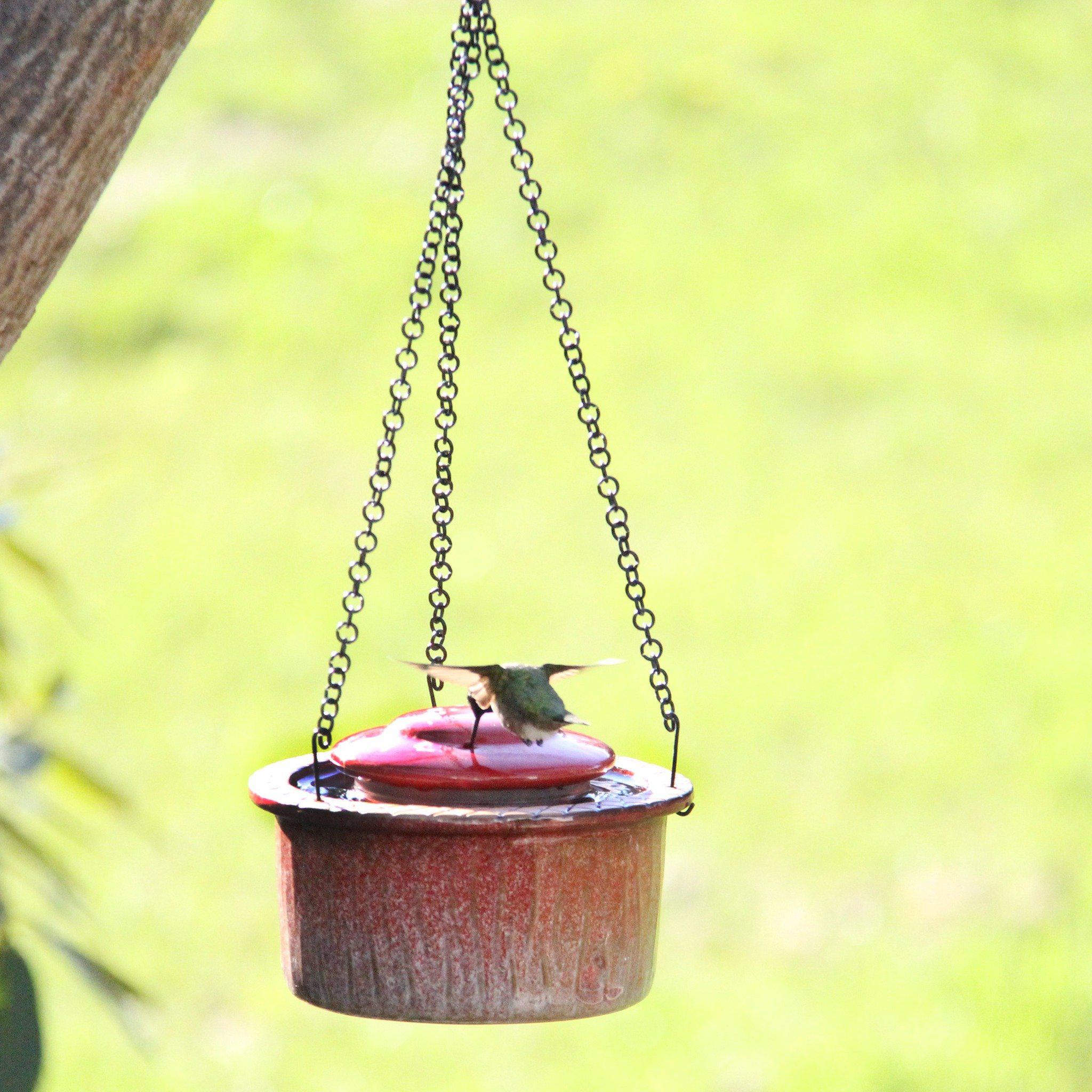 Byer of Maine Alcyon Hummingbird Feeder