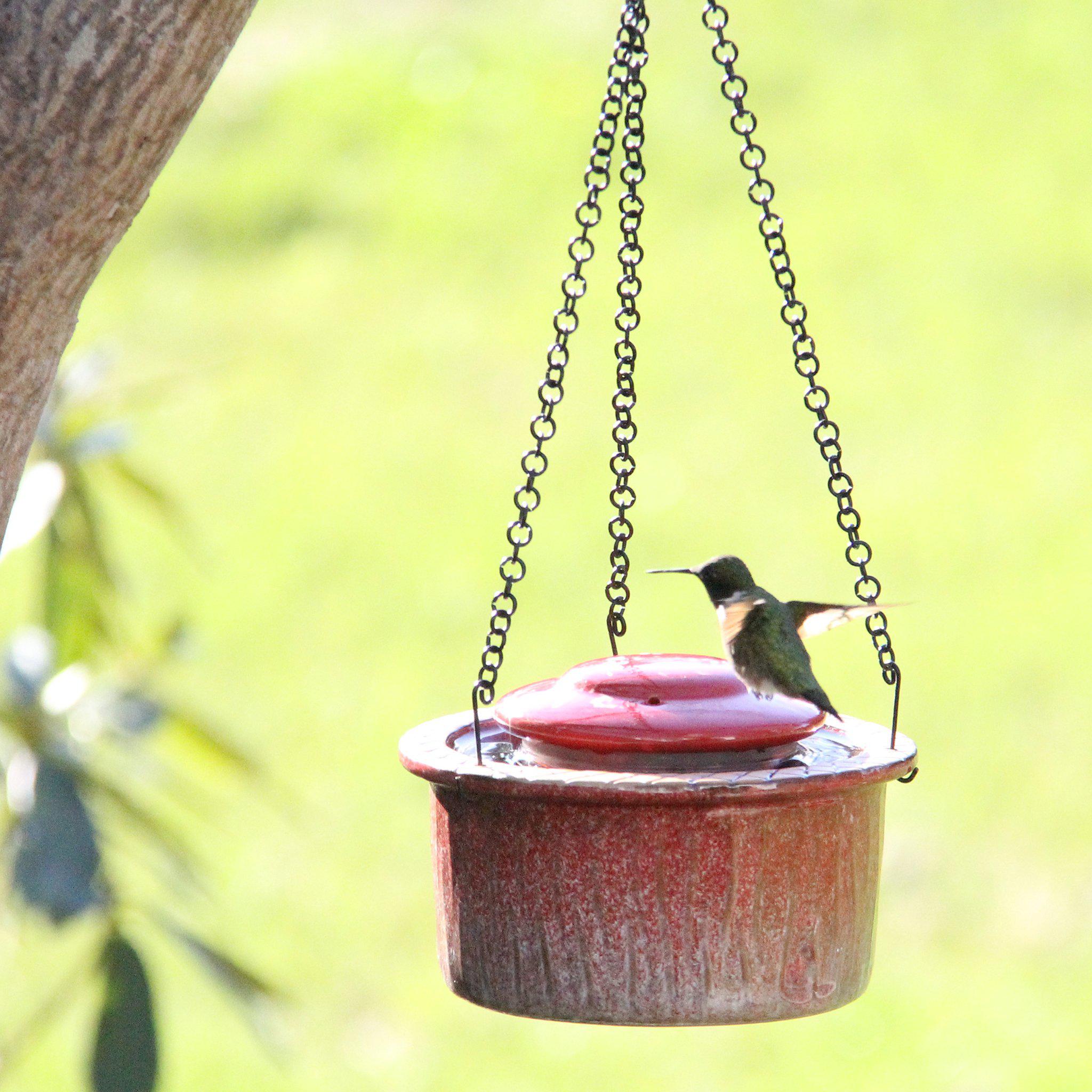 Byer of Maine Alcyon Hummingbird Feeder
