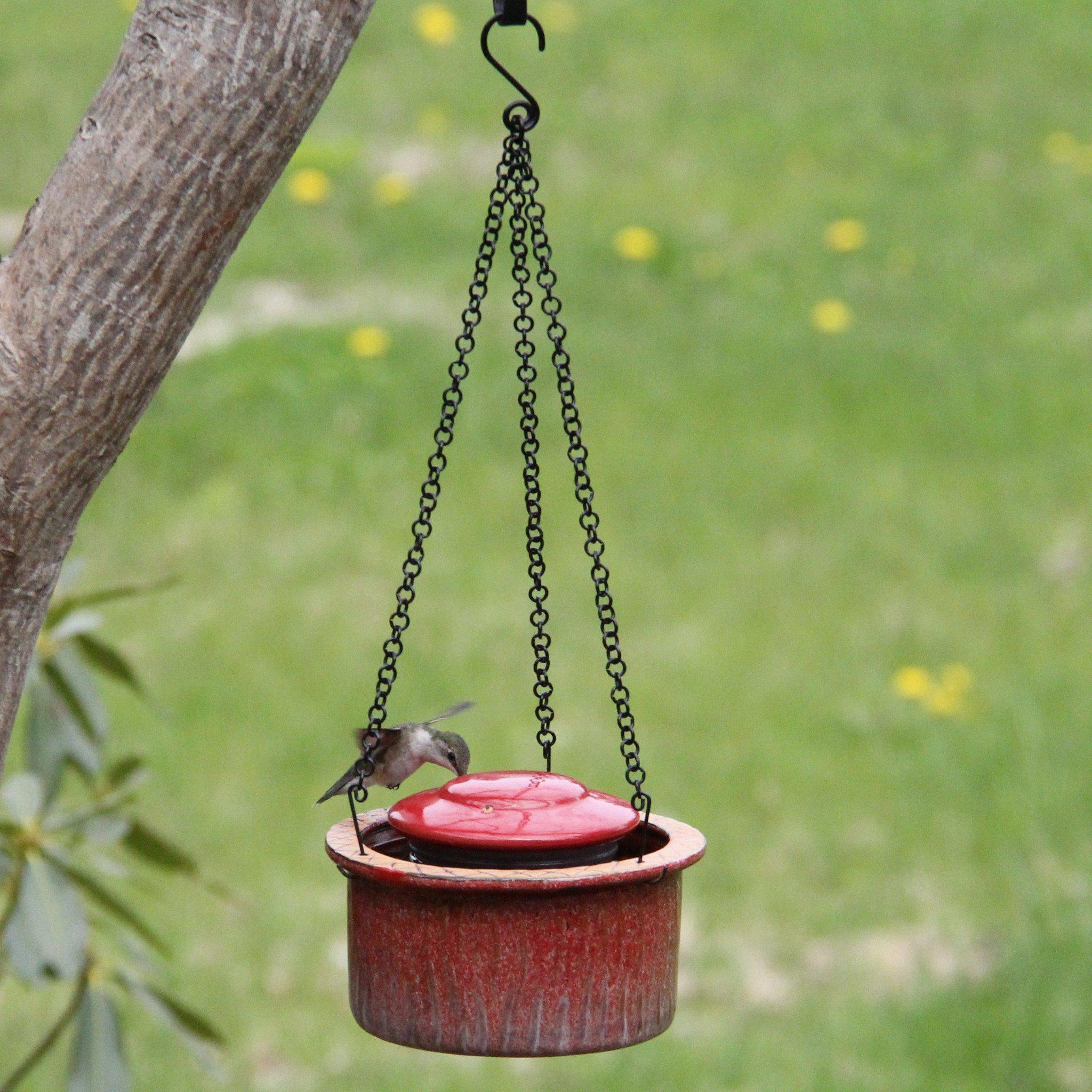 Byer of Maine Alcyon Hummingbird Feeder