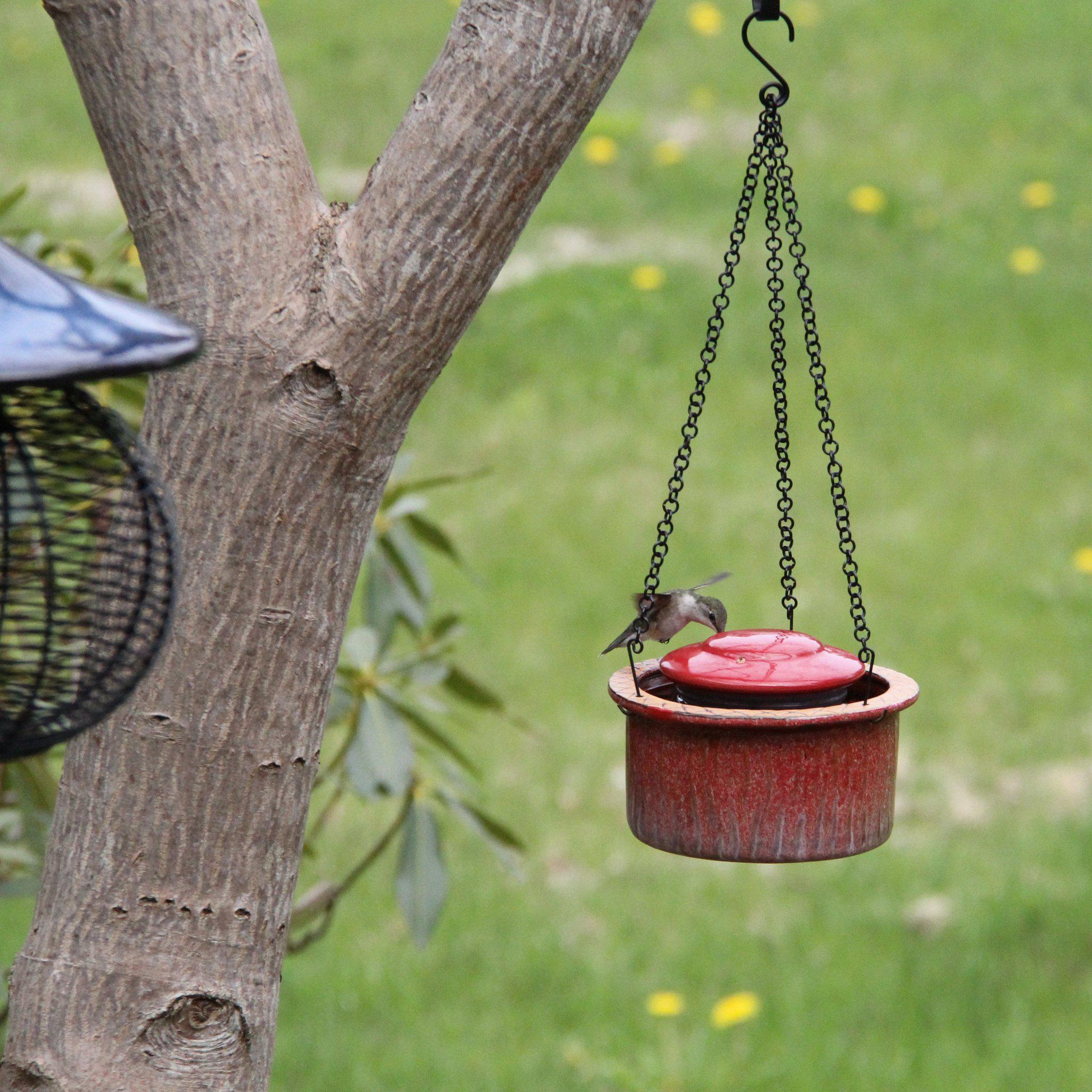 Byer of Maine Alcyon Hummingbird Feeder