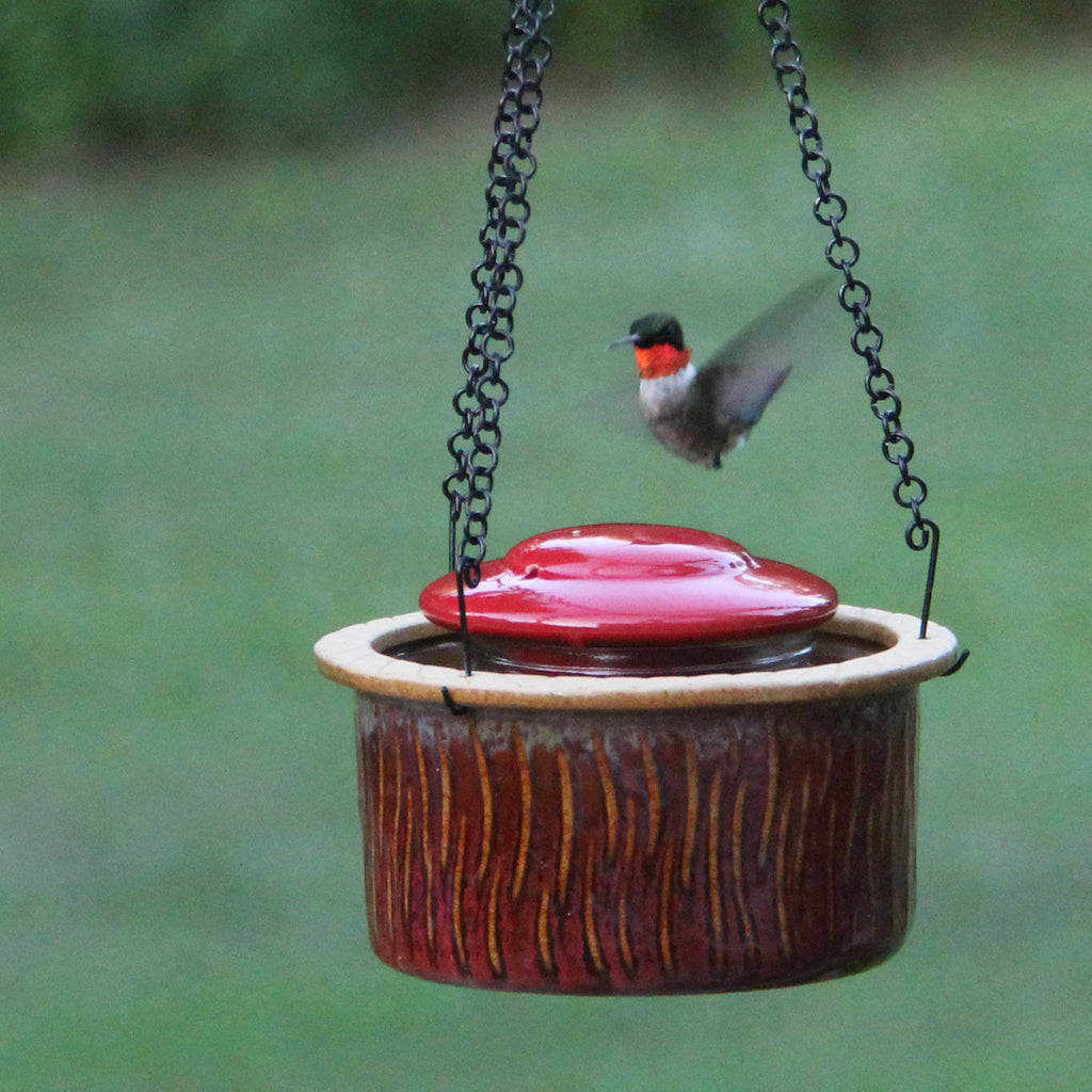 Byer of Maine Alcyon Hummingbird Feeder