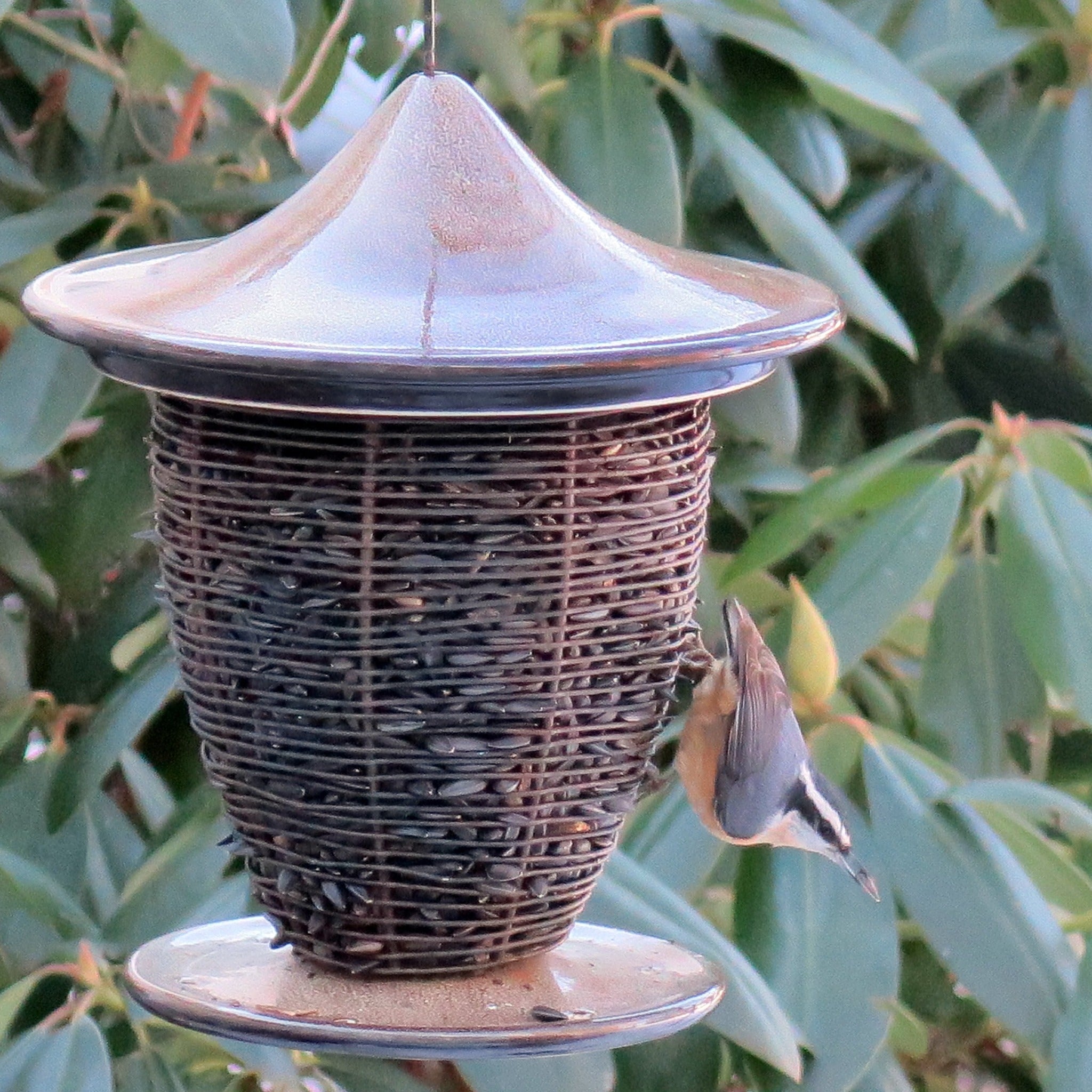 Byer of Maine Pagoda Bird Feeder