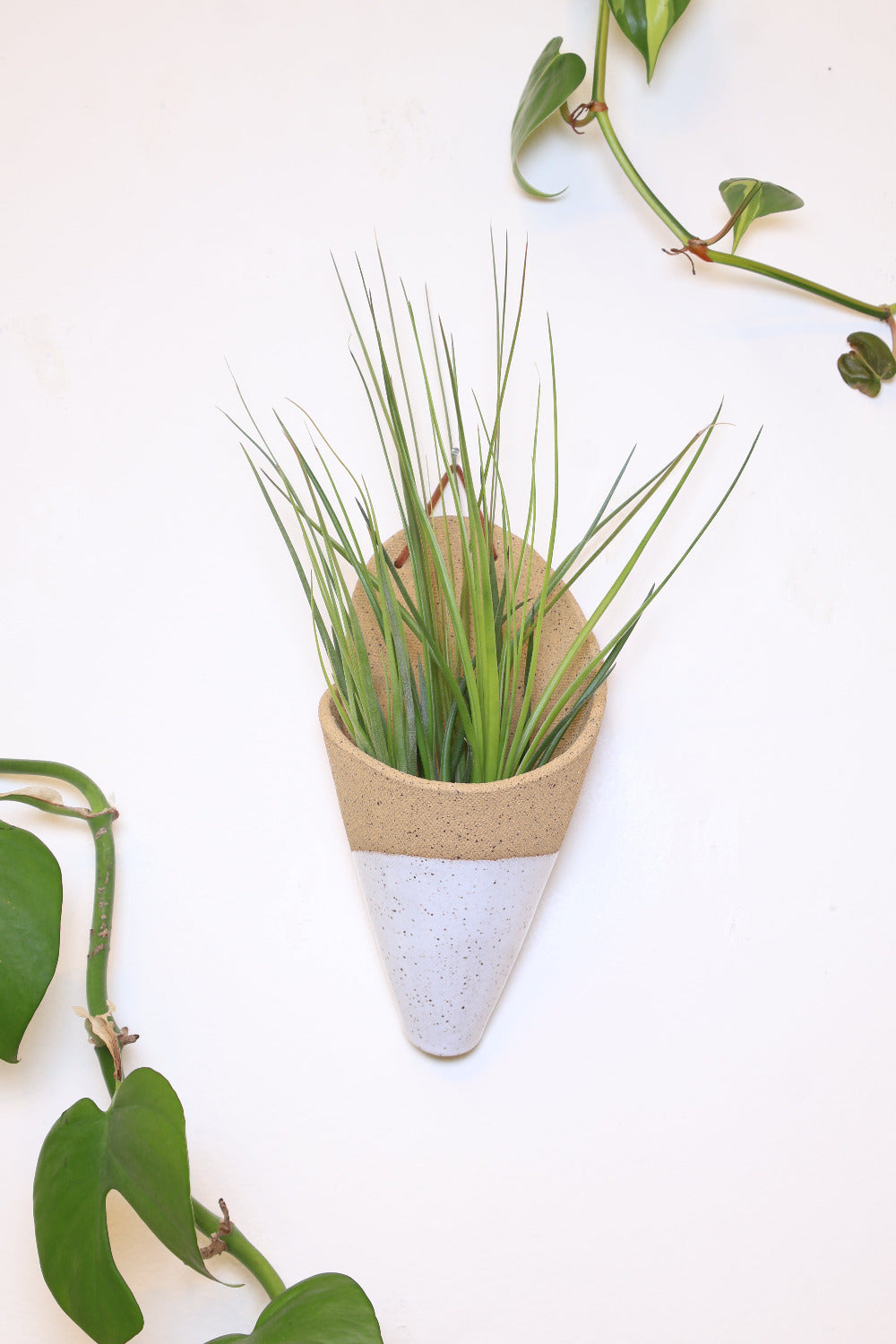 Carter + Rose Ceramic Wall Planter, Large Cone