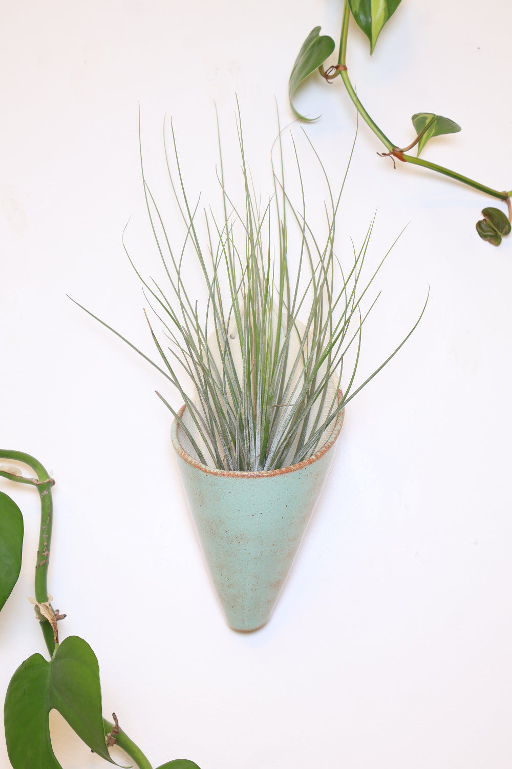 Carter + Rose Ceramic Wall Planter, Large Cone