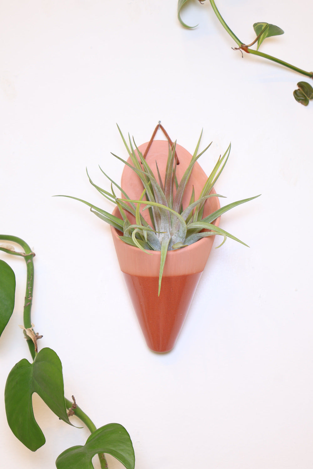 Carter + Rose Ceramic Wall Planter, Large Cone Terracotta | Heirloom Boulevard