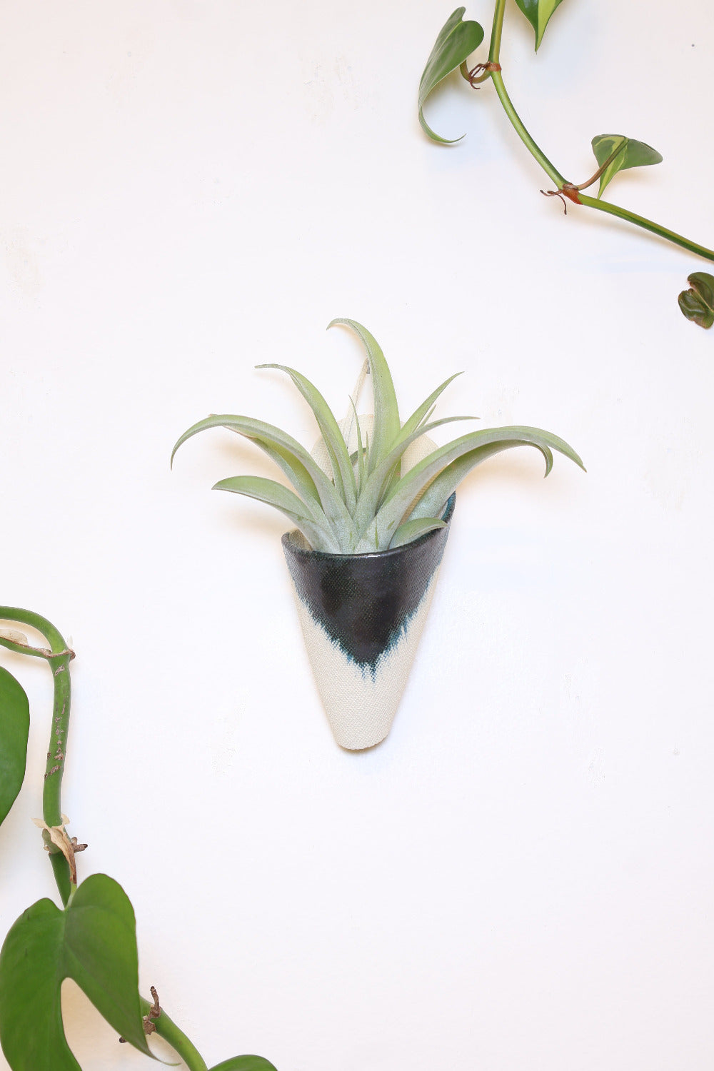 Carter + Rose Ceramic Wall Planter, Medium Cone | Heirloom Boulevard