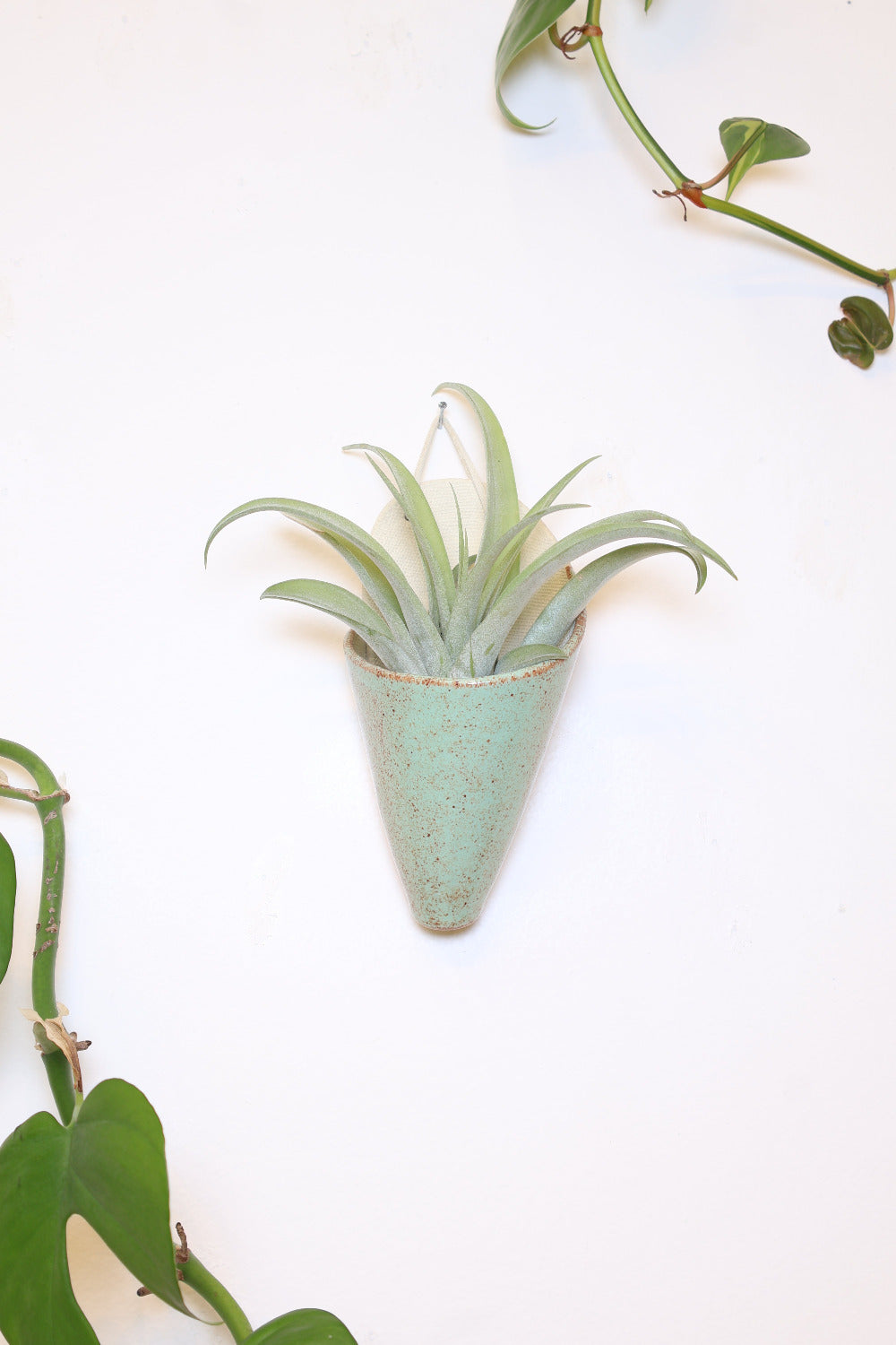 Carter + Rose Ceramic Wall Planter, Medium Cone | Heirloom Boulevard