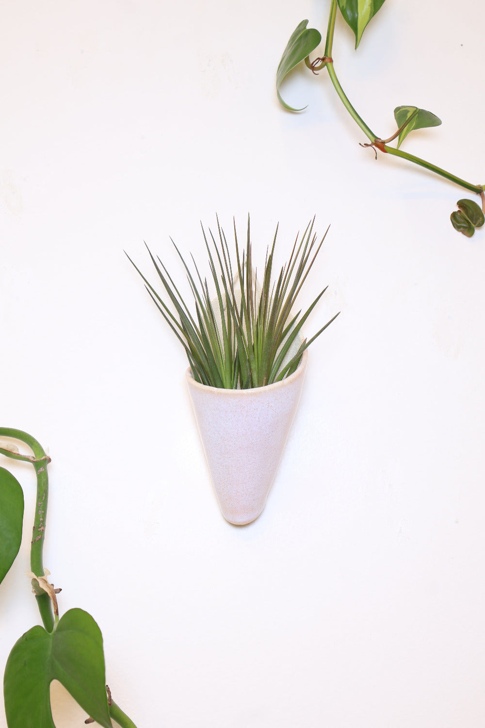 Carter + Rose Ceramic Wall Planter, Medium Cone | Heirloom Boulevard